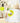 Dog Pet Automatic Interactive Ball Launcher