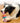 Dog Chew Toy Dog Bone Type  Dogs Teeth Cleaning Toys Indestructible TPR Bone Chewing Bite Resistant Teething Toys  Pet Products